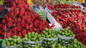 کاهش قیمت میوه از ۱۰ خرداد