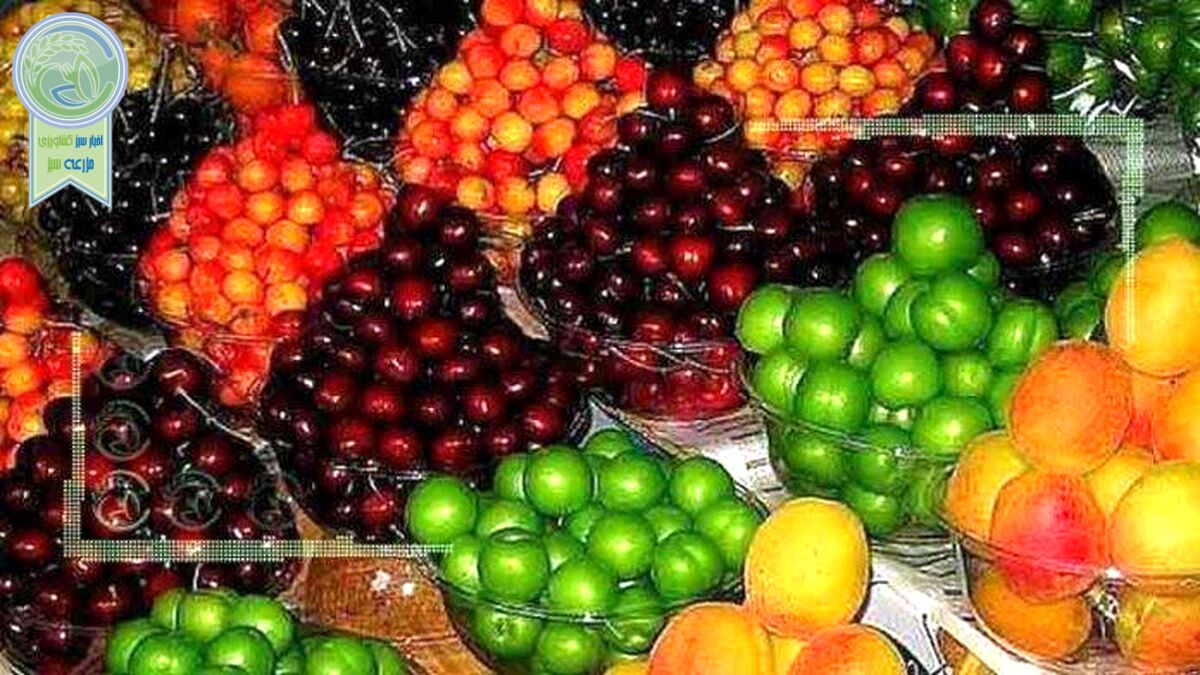 قیمت میوه و تره بار اول خرداد ۱۴۰۲