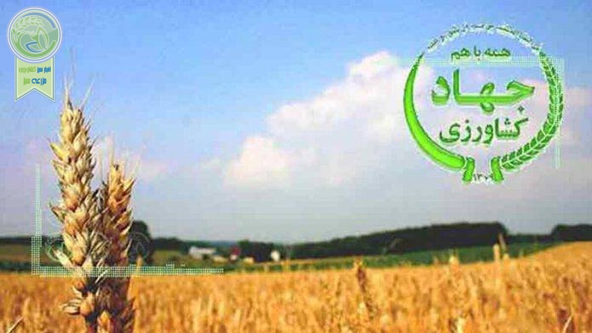 در دومین تغییر کدام معاون حذف می‌شود؟!