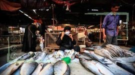 قیمت انواع ماهی ۴ خرداد ۱۴۰۲
