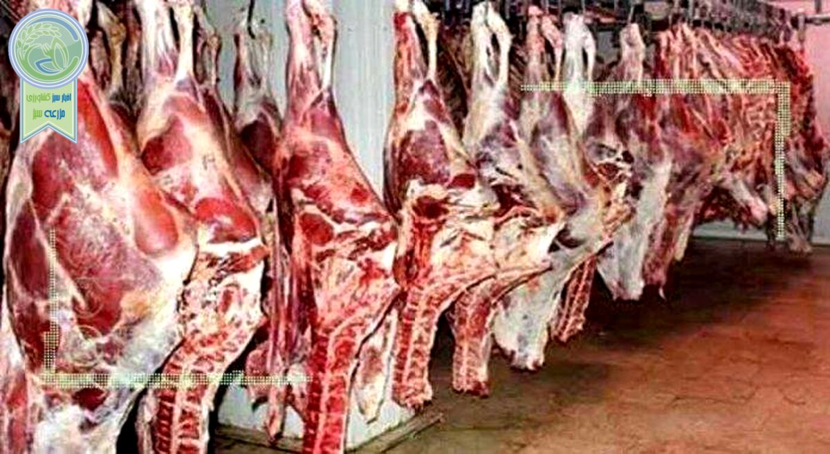 قیمت روز گوشت قرمز در ۴ خرداد ۱۴۰۲