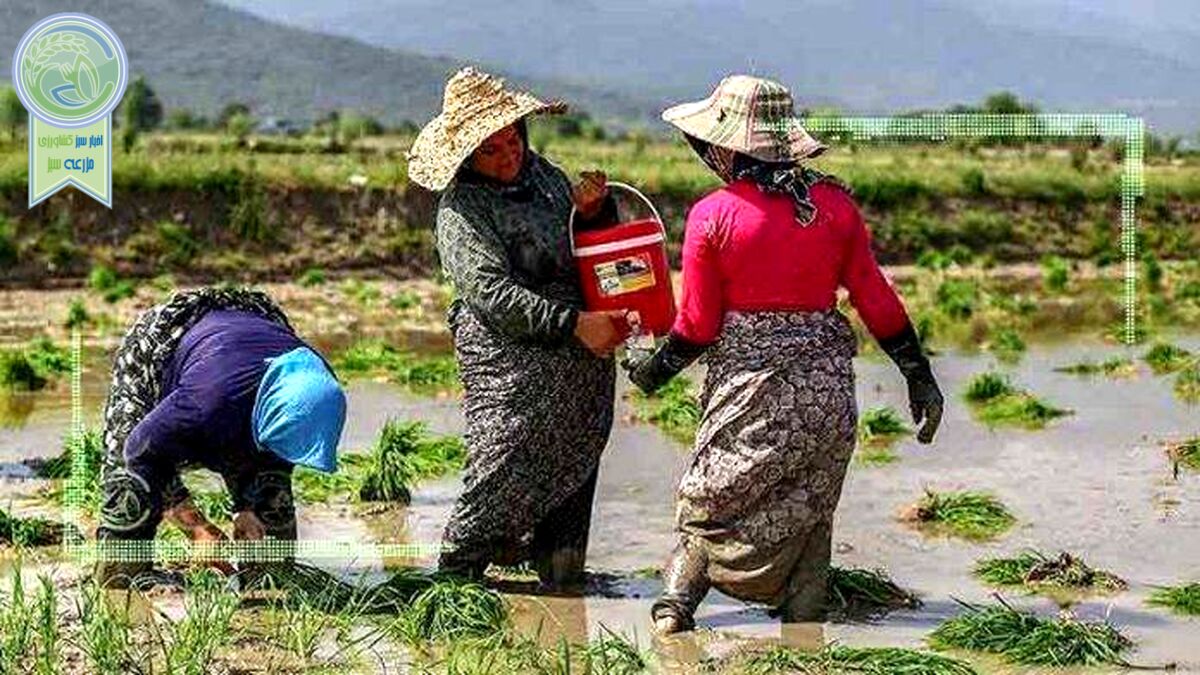 ویژگی‌های مجریان و تسهیلگران توسعه روستایی