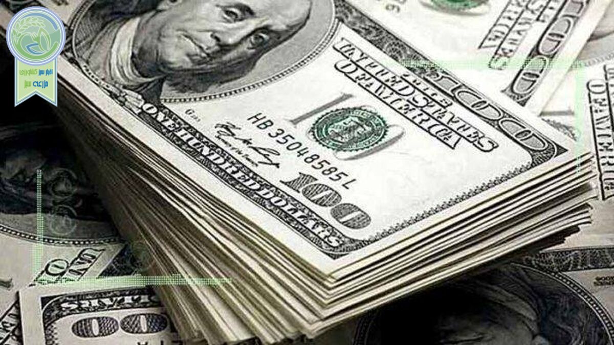 اصلاح قیمت دلار ادامه دارد؟