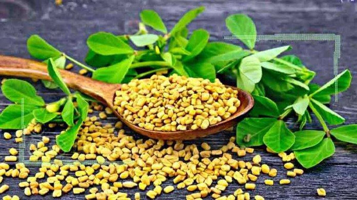 گیاهی بهتر از انسولین برای درمان دیابت