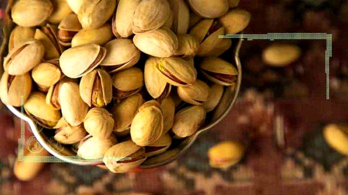صادرات پسته ۵۰ درصد کاهش یافت!