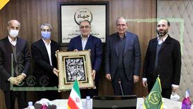 هیچ راهبـرد علمـی برای امنیت غذایـی وجود نـدارد