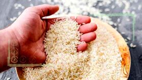 منتظر گرانی برنج باشیم؟