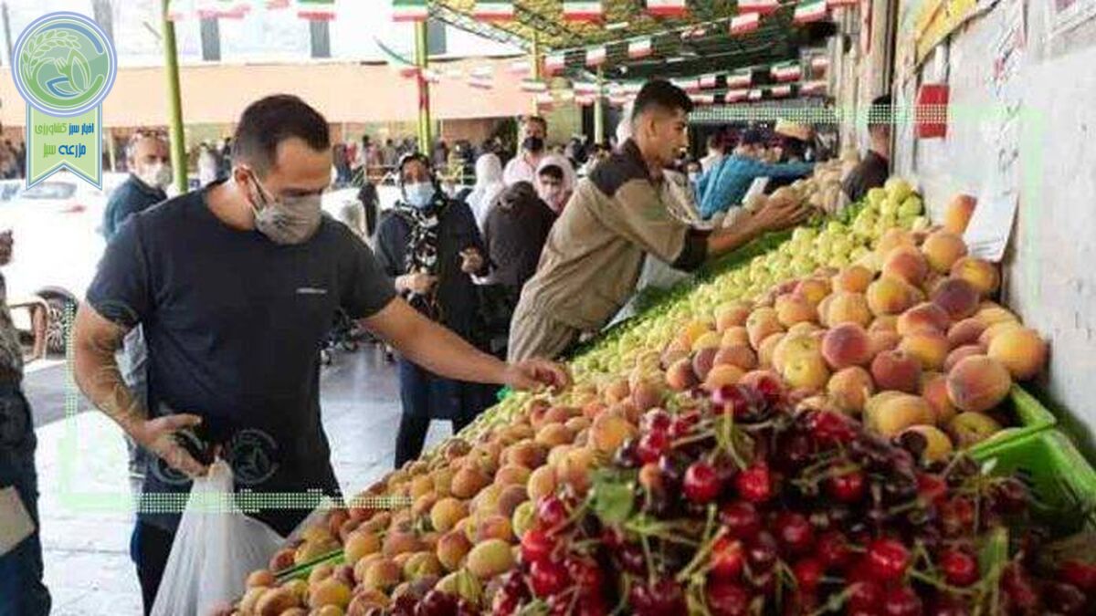 قیمت میوه و تره بار ۱۵ تیر ۱۴۰۲