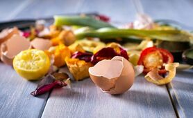 چگونه برای گیاهان خود کود خانگی بسازیم‌؟

