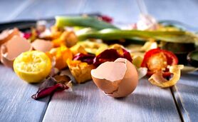 چگونه برای گیاهان خود کود خانگی بسازیم‌؟

