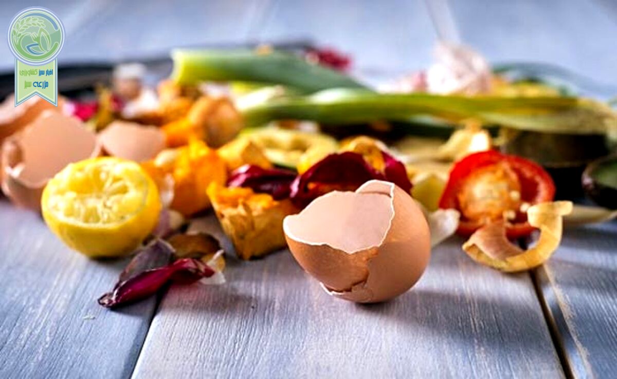 چگونه برای گیاهان خود کود خانگی بسازیم‌؟

