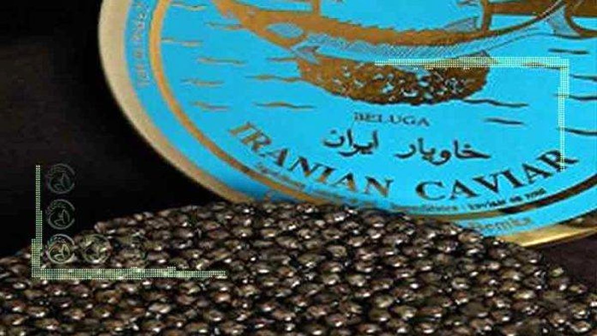 تهران میزبان هشتمین همایش ماهیان خاویاری