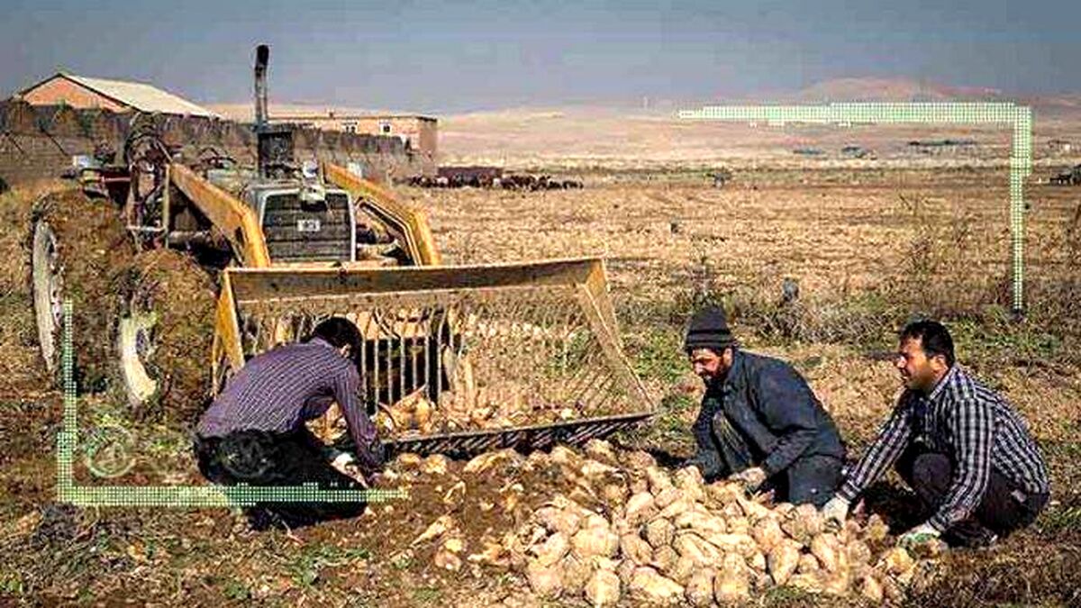 هر قدم دانه شِکَری می‌کاشت