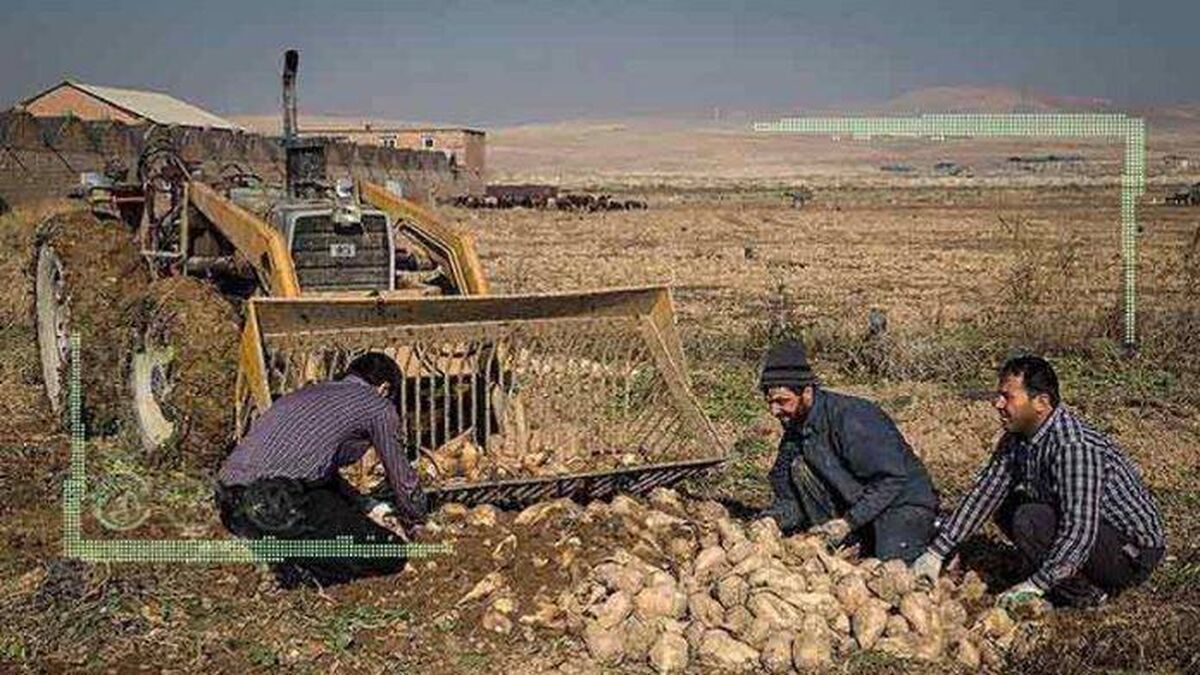 هر قدم دانه شِکَری می‌کاشت