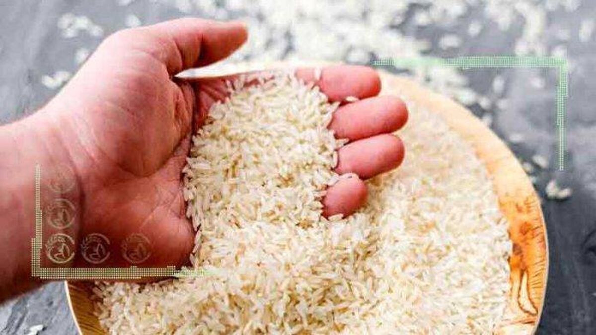 ممنوعیت واردات برنج درحال اجرا است