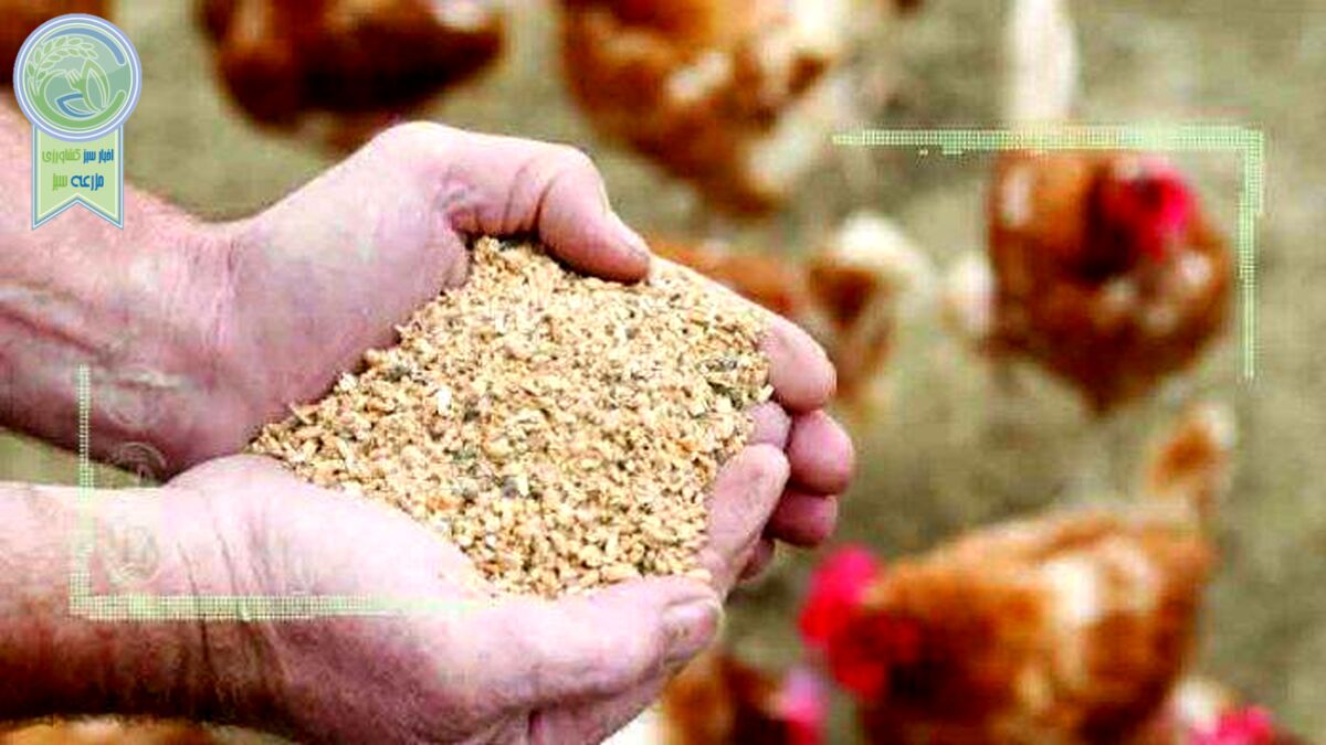 قیمت نهاده های دامی و محصولات کشاورزی ۹ مرداد ۱۴۰۲