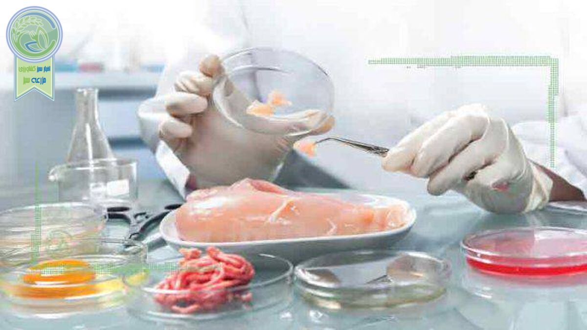 گوشت مرغ آزمایشگاهی در نوبت