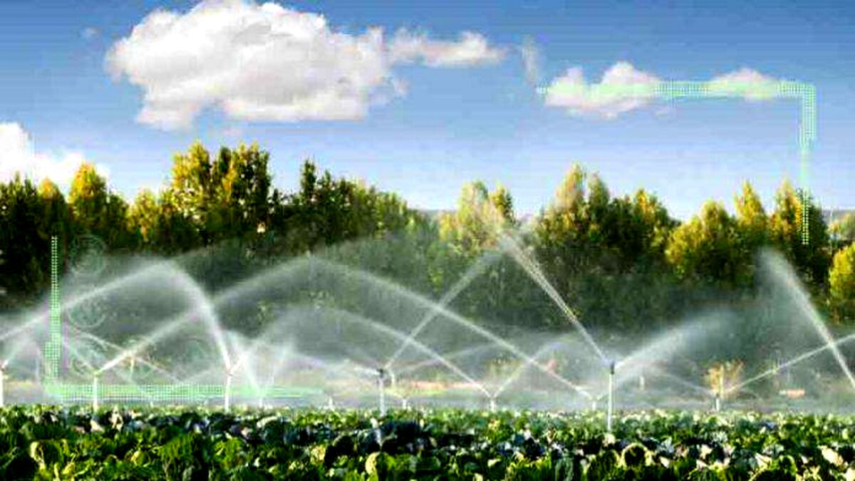 چه الگوی مدیریتی برای بخش کشاورزی مناسب است؟
