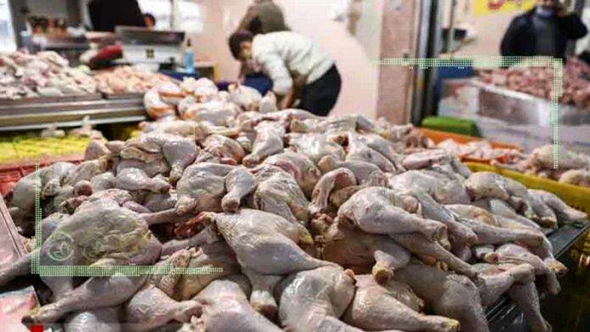 قیمت انواع مرغ در ۵ شهریور ۱۴۰۲