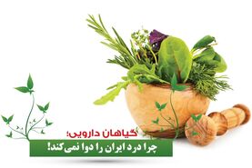 گیاهان دارویی چرا درد ایران را دوا نمی‌کند!

