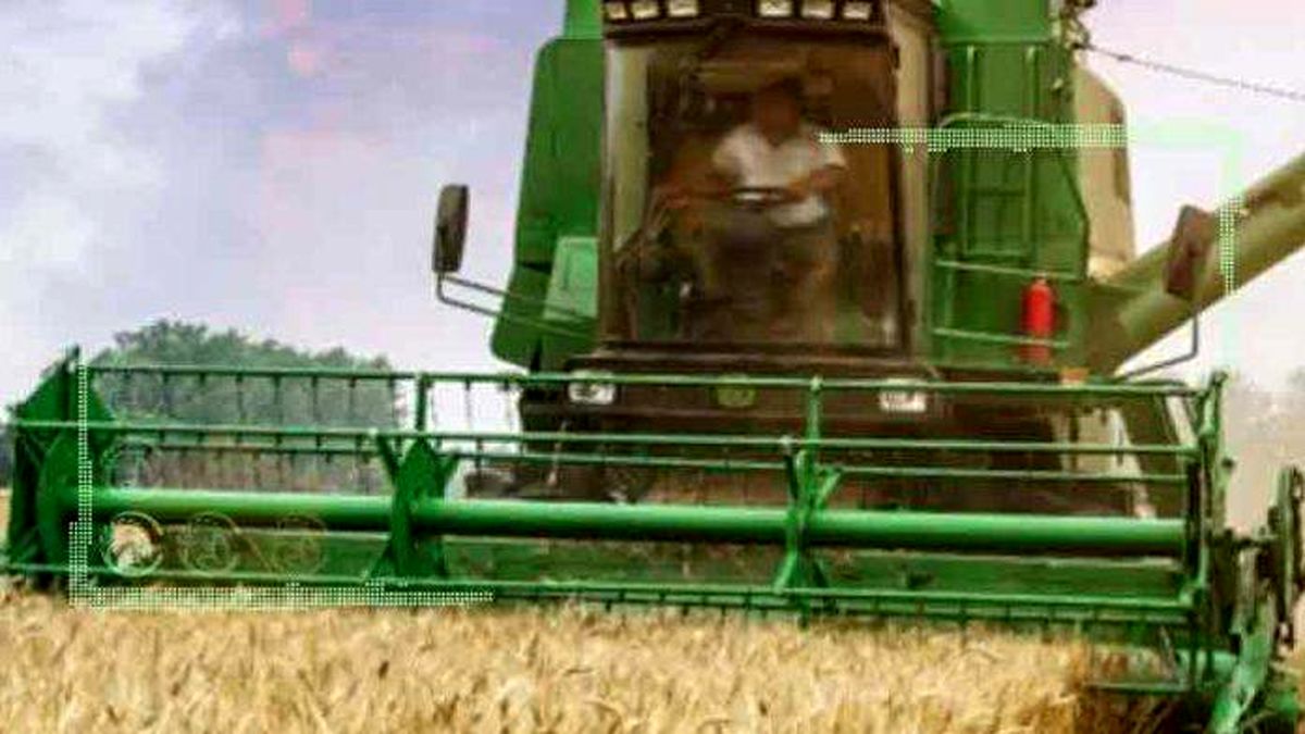 خرید ۱۰ میلیون و ۳۰۰ هزار تن گندم از کشاورزان