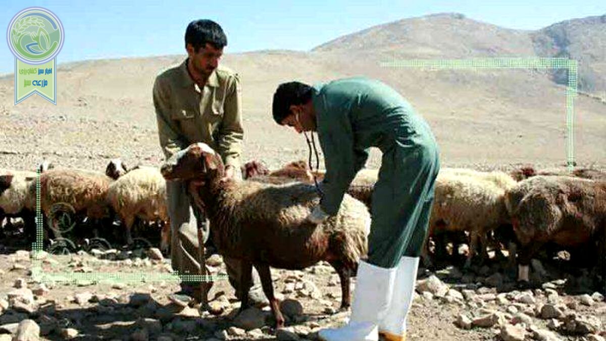 سلامت در صنعت دامپزشکی