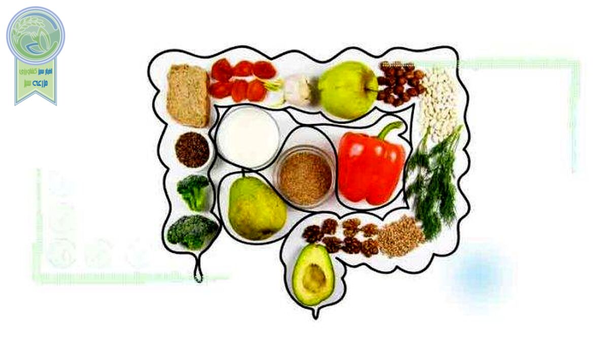 غذاهایی که‌ التهاب معده را کاهش می‌دهد