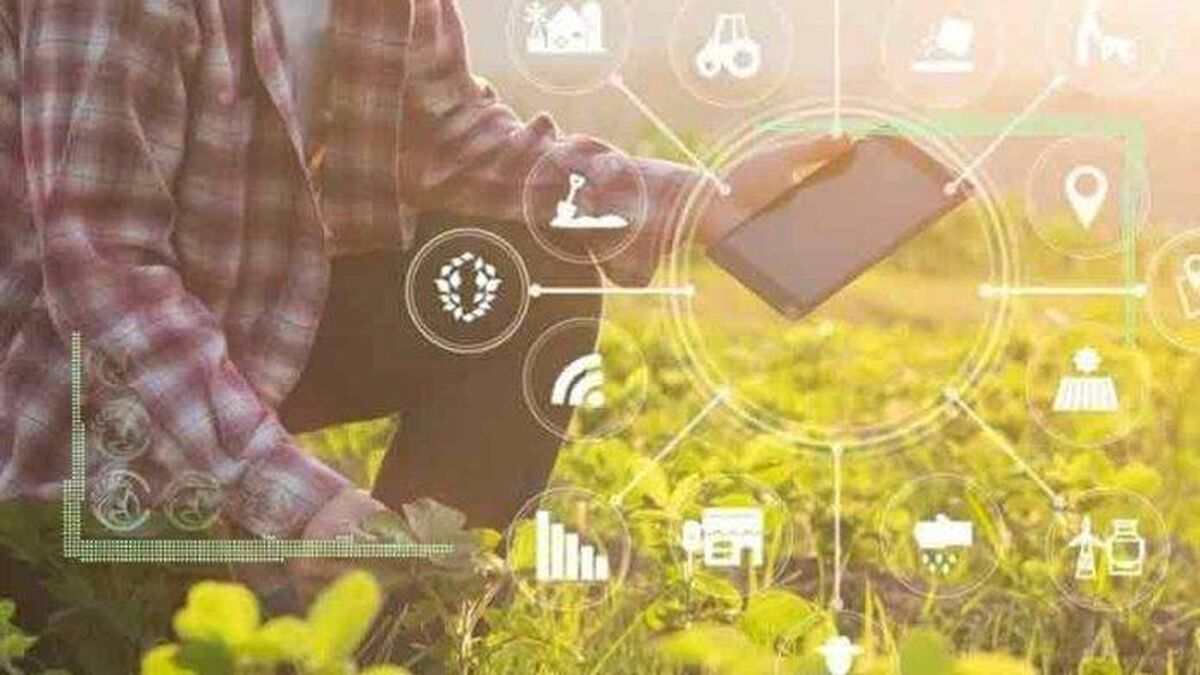 استفاده از هوش مصنوعی راهی برای ارتقای بهره‌وری در کشاورزی