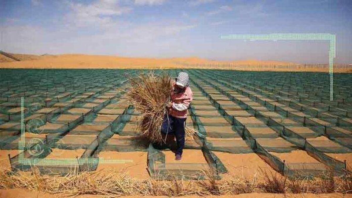 تلاش‌های مشترک چین و کشورهای عربی برای کنترل بیابان