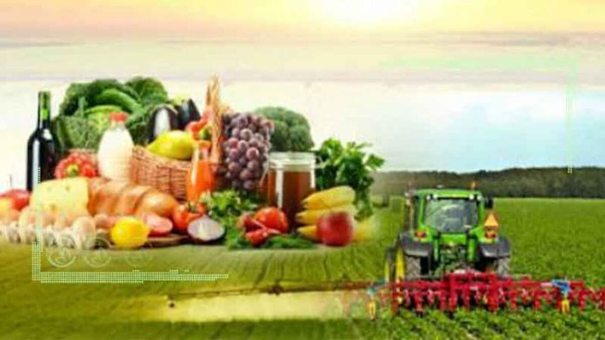 خودکفایی در تولید محصولات کشاورزی شدنی است؟