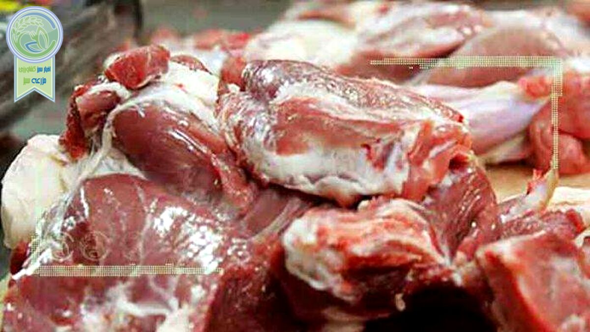 قیمت روز گوشت قرمز در ۲۸ شهریور ۱۴۰۲