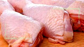 قیمت انواع مرغ در ۹ مهر ۱۴۰۲