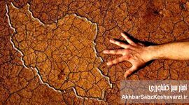 ورشکستگی آبی ایران؛ از اصلاح الگوی کشت تا مهار مصرف شهری
