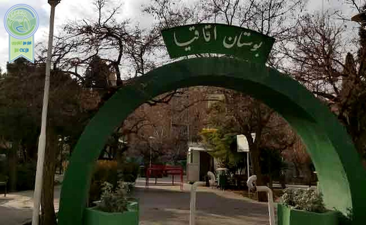 اعمال نفوذ برای قطع شبانه درختان

