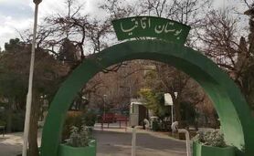 اعمال نفوذ برای قطع شبانه درختان

