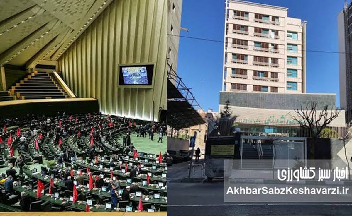 استیضاح نوری قزلجه در آستانه انتخابات؛ نمایندگان با مردم همراه می‌شوند یا سکوت می‌کنند؟

