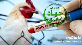 وطن‌فروشی به ازای حفظ مقام: افشای بحران آنفلوآنزای پرندگان توسط وزیر!