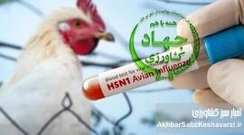وطن‌فروشی به ازای حفظ مقام: افشای بحران آنفلوآنزای پرندگان توسط وزیر!