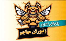چگونگی کنترل زنبوران مهاجم

