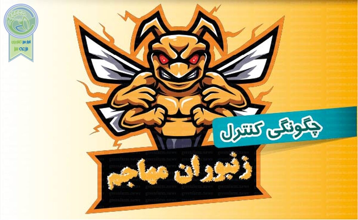 چگونگی کنترل زنبوران مهاجم

