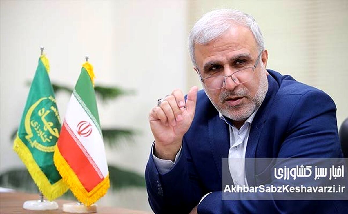 هزینه‌های نامرئی مدیریت؛ عامل پنهان گرانی در بخش کشاورزی
