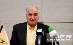 نقش کلیدی کشاورزی ارگانیک در مقابله با تغییرات اقلیمی؛ راهبردی برای آینده سبز 