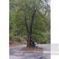 درسِ احترام به طبیعت در آلانیای ترکیه؛ الگویی برای گرگان و گلستان

