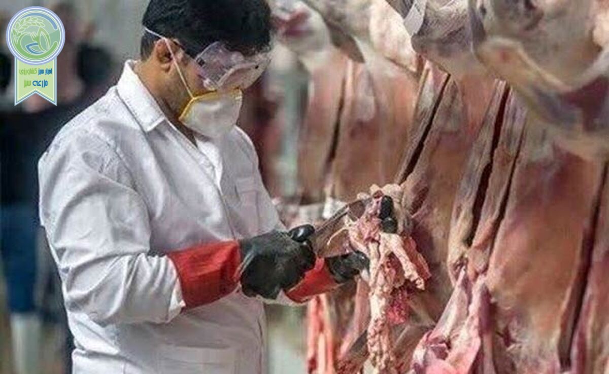 دامپزشکان حافظان محیط‌زیست

