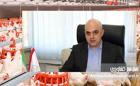 حمیدرضا کاشانی افشا می‌کند: چرا بحران در صنعت طیور ایران، حاصل بی‌تفاوتی مسئولان است؟+ویدئو