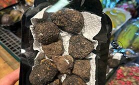 فروش قارچ خوراکی ۱۵ میلیونی در نیاوران!+عکس

