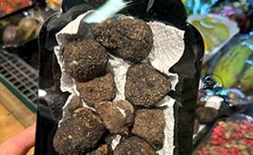 فروش قارچ خوراکی ۱۵ میلیونی در نیاوران!+عکس

