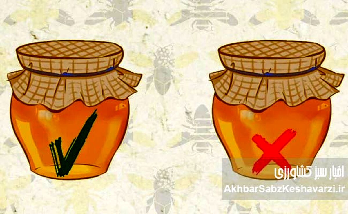 عسل طبیعی در برابر عسل کارخانه‌ای: کدام شیرینی، گنجینه سلامتی شماست؟