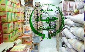 نهاد مشورتی یا هفت تیر کشی+ ویدئو