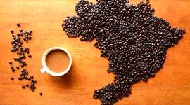 قیمت جهانی قهوه در بالاترین حد تاریخی خود

